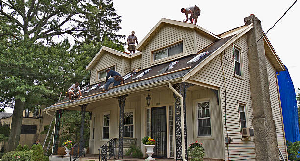 Best Commercial Roof Installation  in Dike, IA